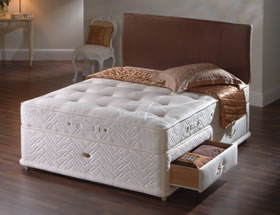 Sealy Millionaire Ortho Divan - Divan Beds